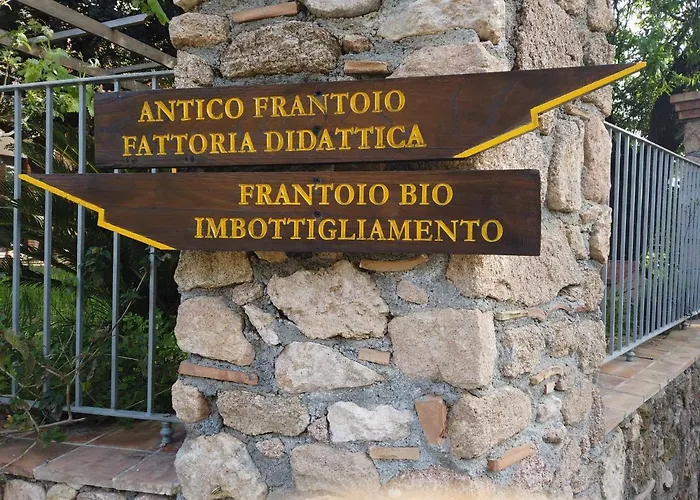 Il Mandorlo