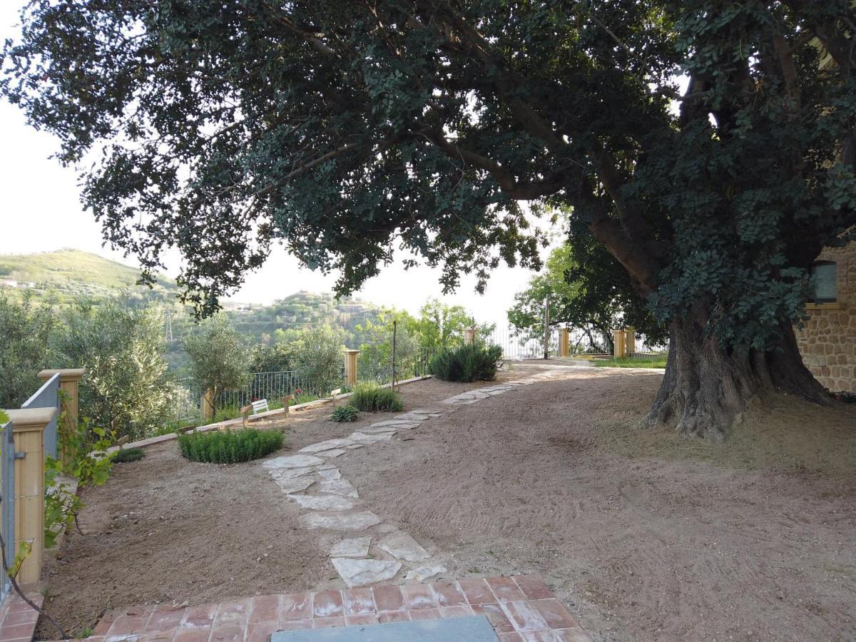 Il Mandorlo Bauernhof Amantea