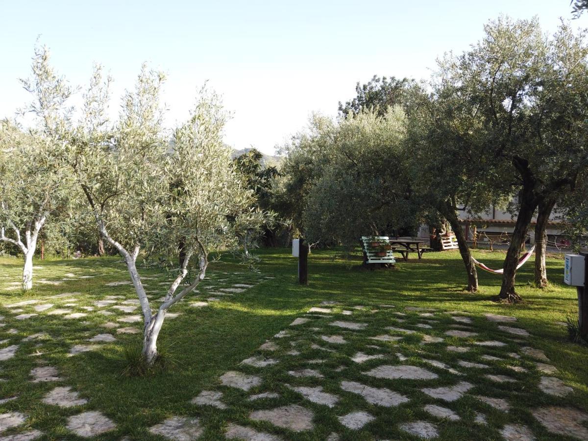 Il Mandorlo *