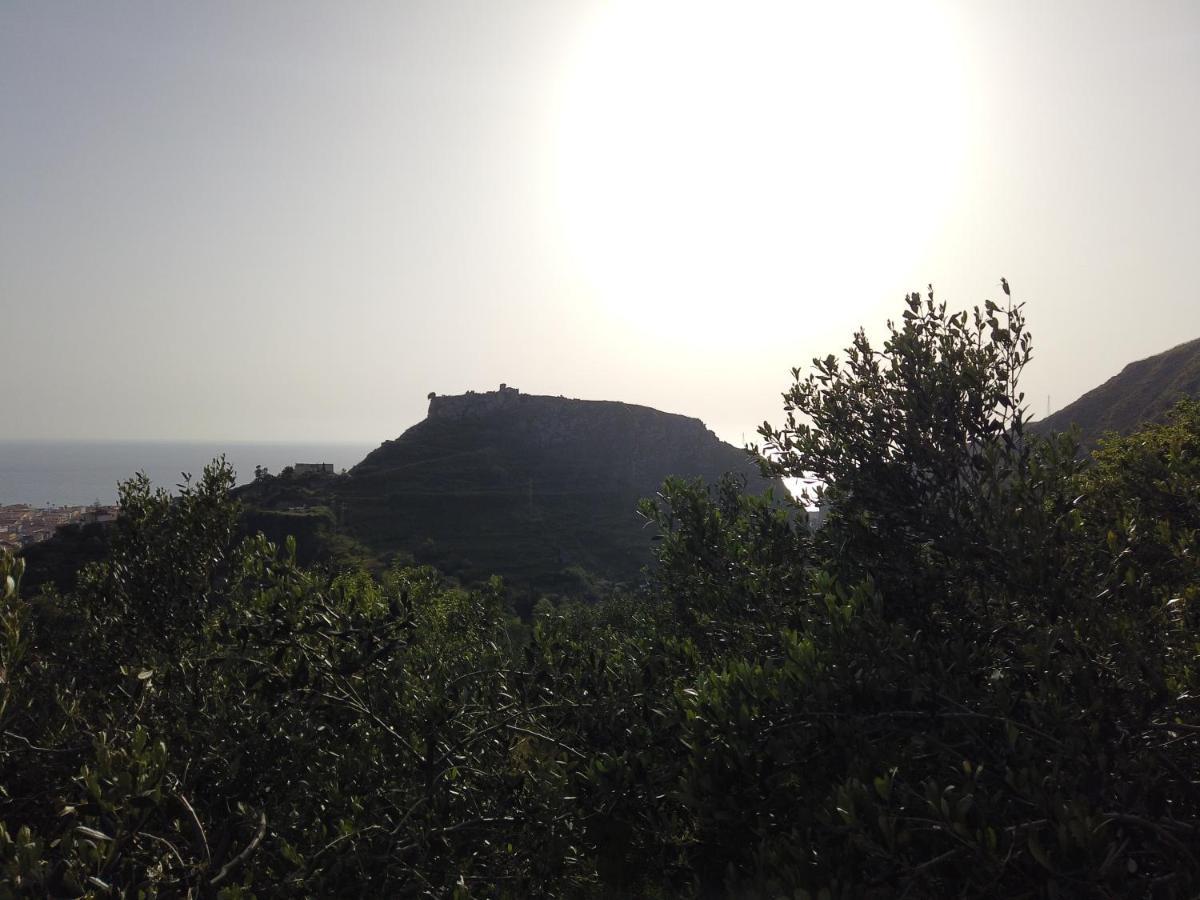 Il Mandorlo *