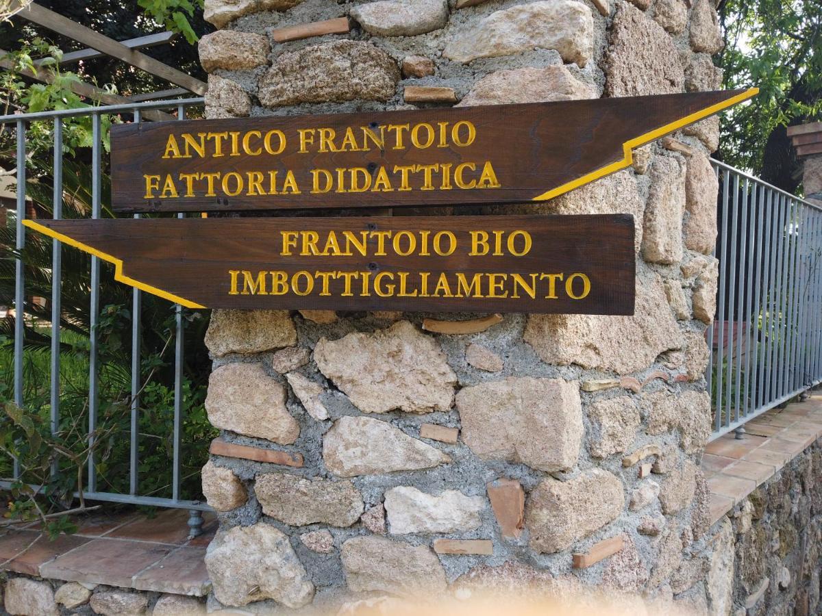 Il Mandorlo Amantea