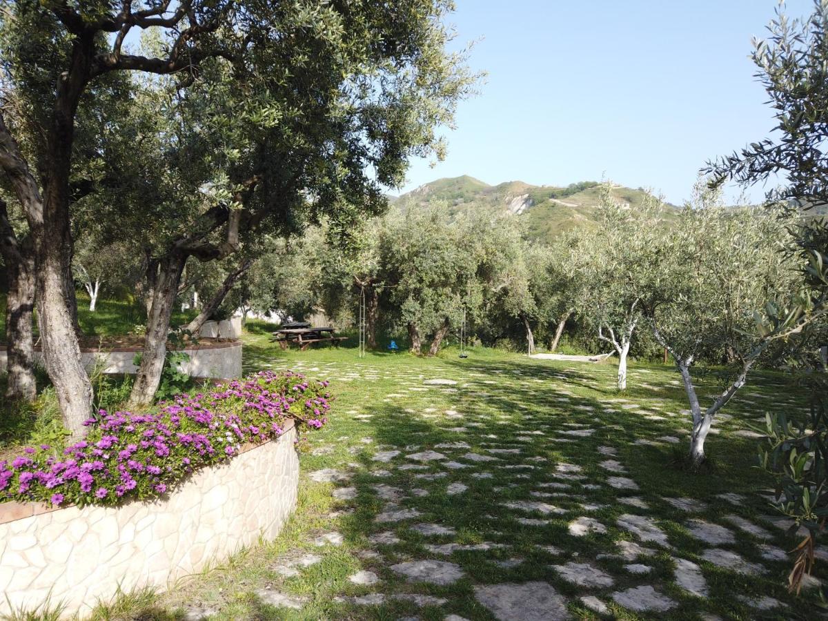 Alojamento de Turismo Rural Il Mandorlo *